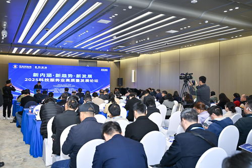 2025中关村论坛系列活动 聚焦科技服务业高质量发展，工程技术服务引领创新未来